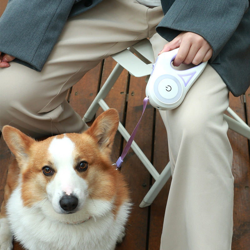 Pet Set Go™ Retractable Leash with Collar